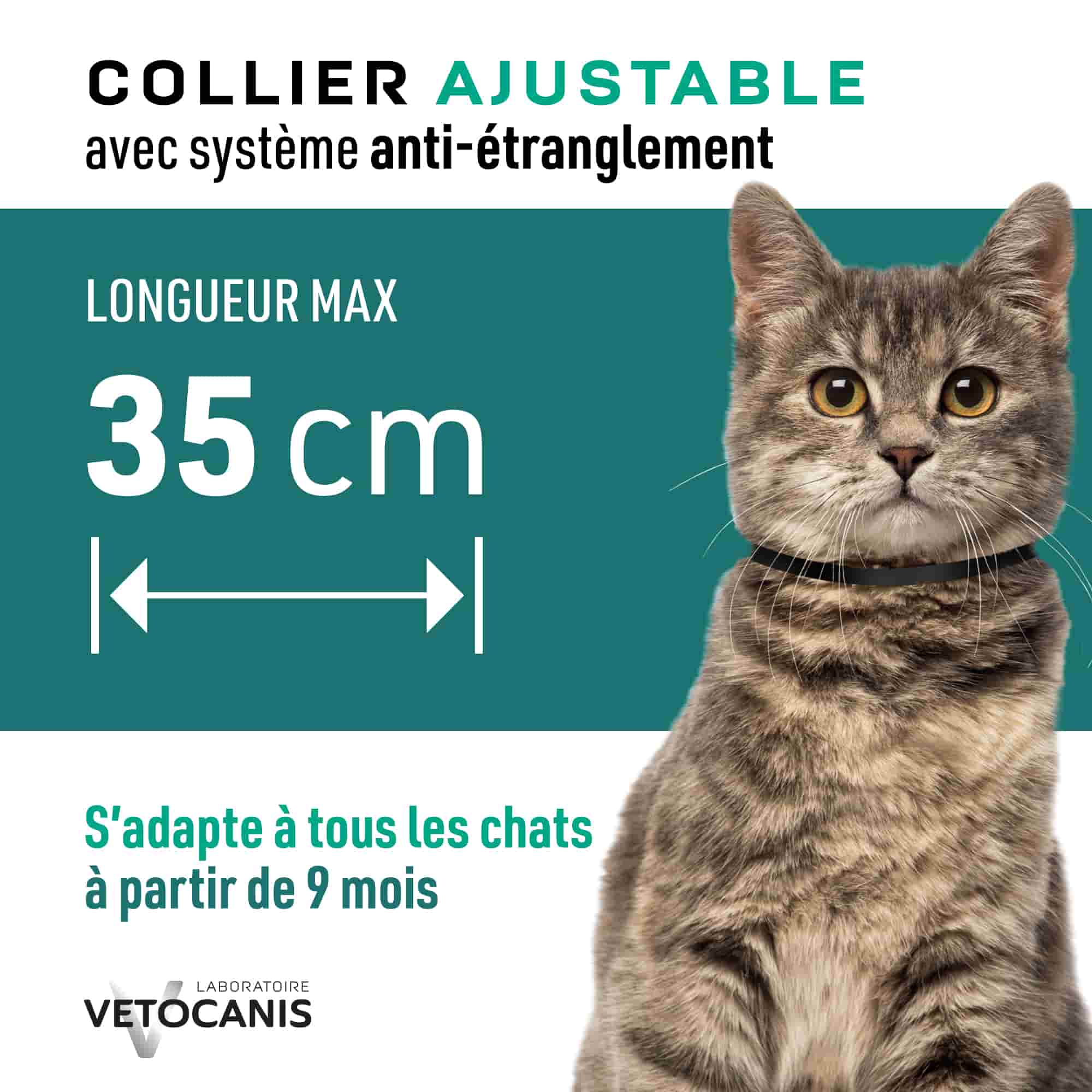 Collier ajustable anti étranglement  pour chat