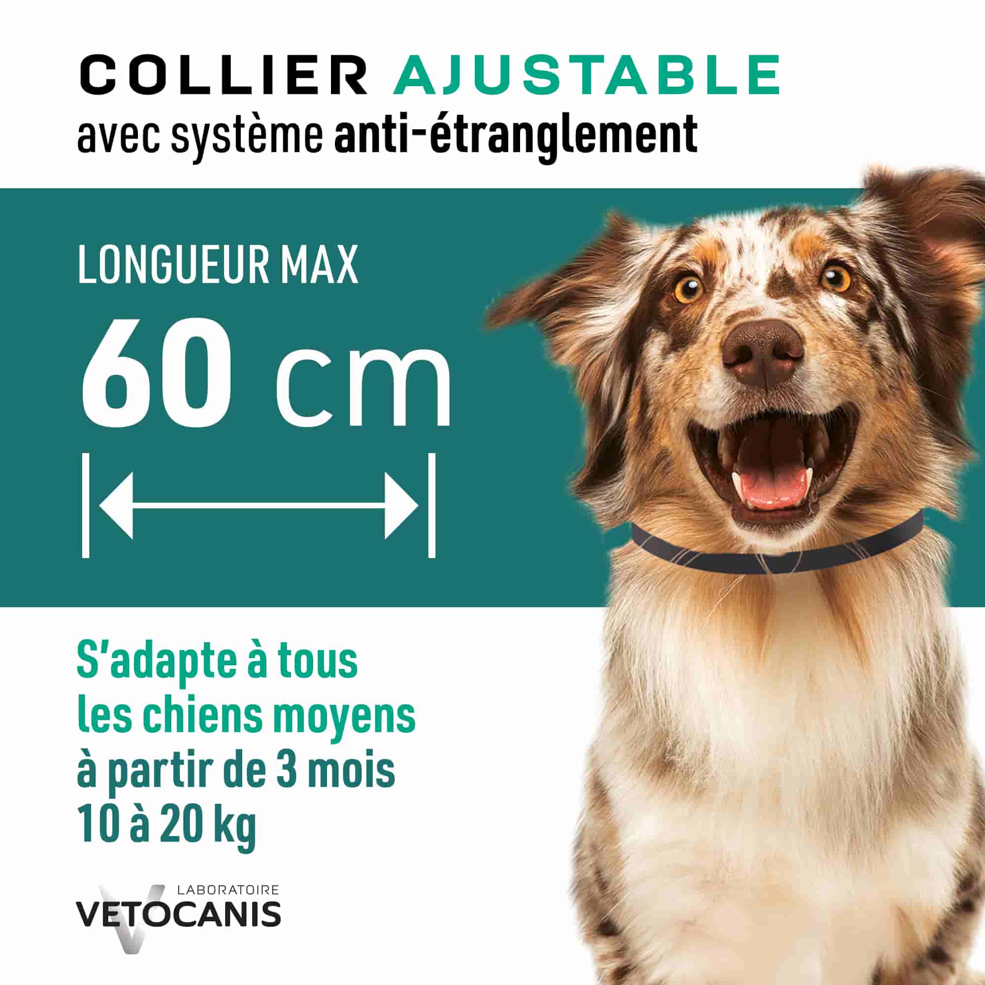 Collier ajustable avec système anti étranglement pour chiens moyens