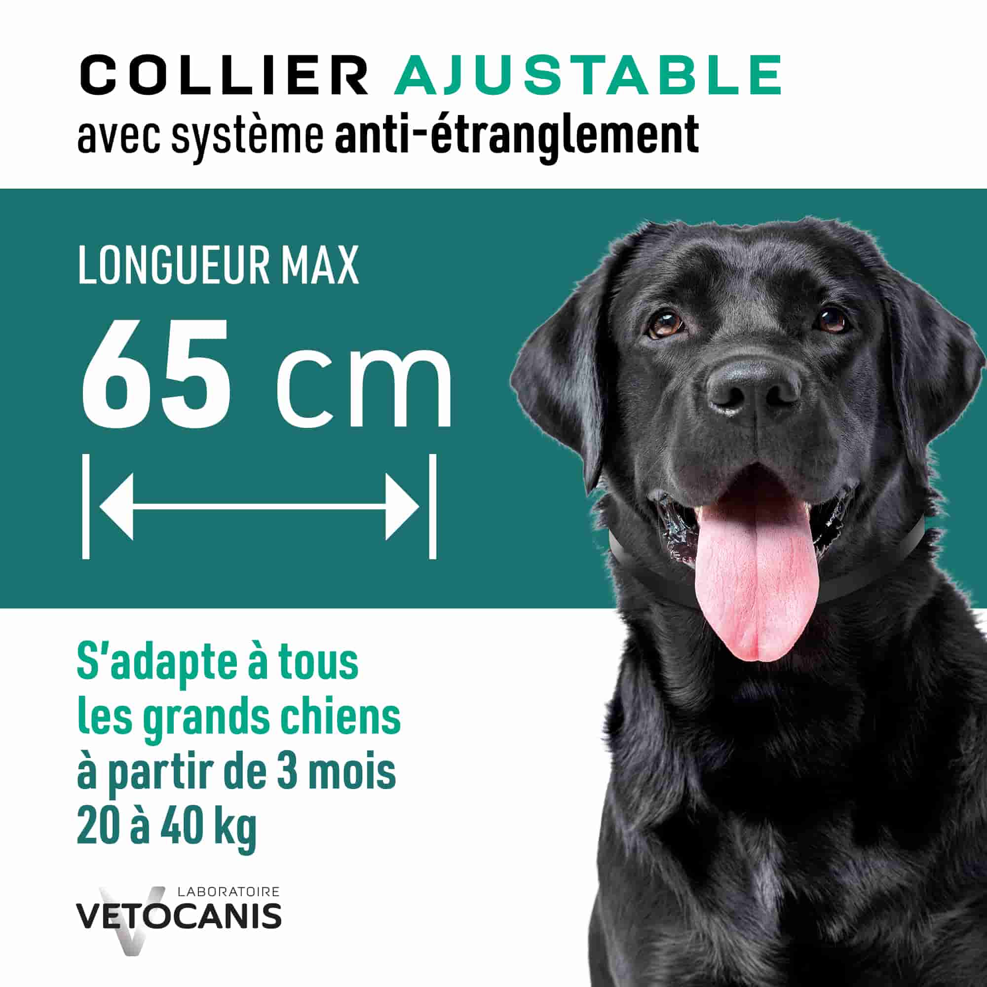 Collier ajustable avec système anti étranglement pour grands chiens