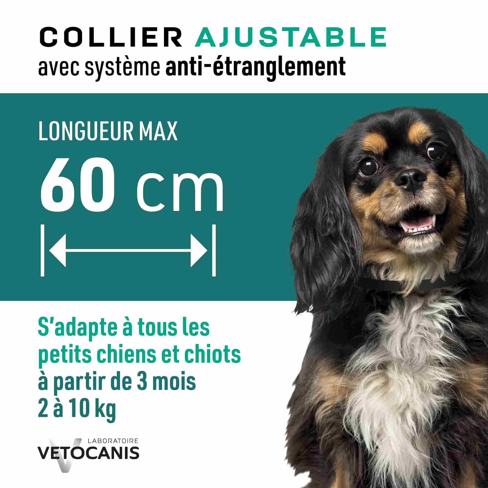 Collier ajustable avec système anti étranglement pour petits chiens et chiots