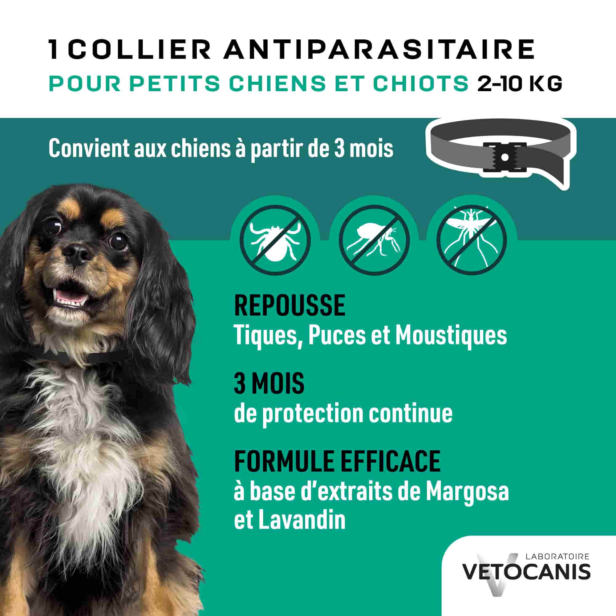 Collier anti parasitaire pour chiens et chiots 2 à 10 kg