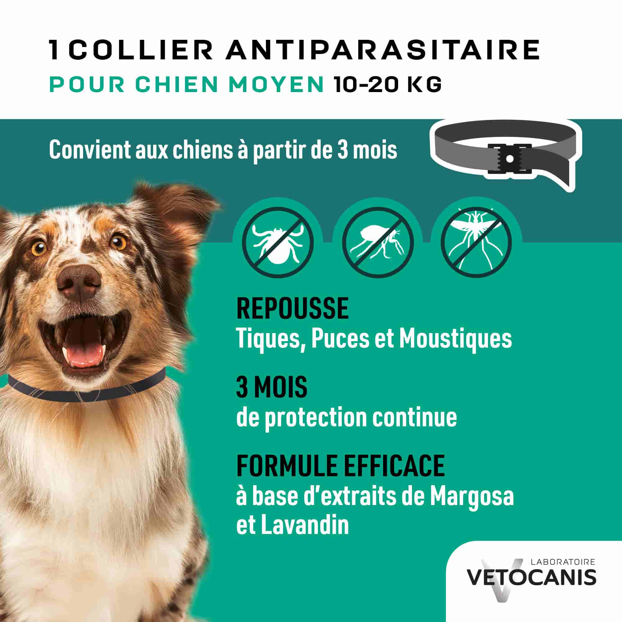 Collier anti parasitaire pour chiens et chiots 10 à 20 kg