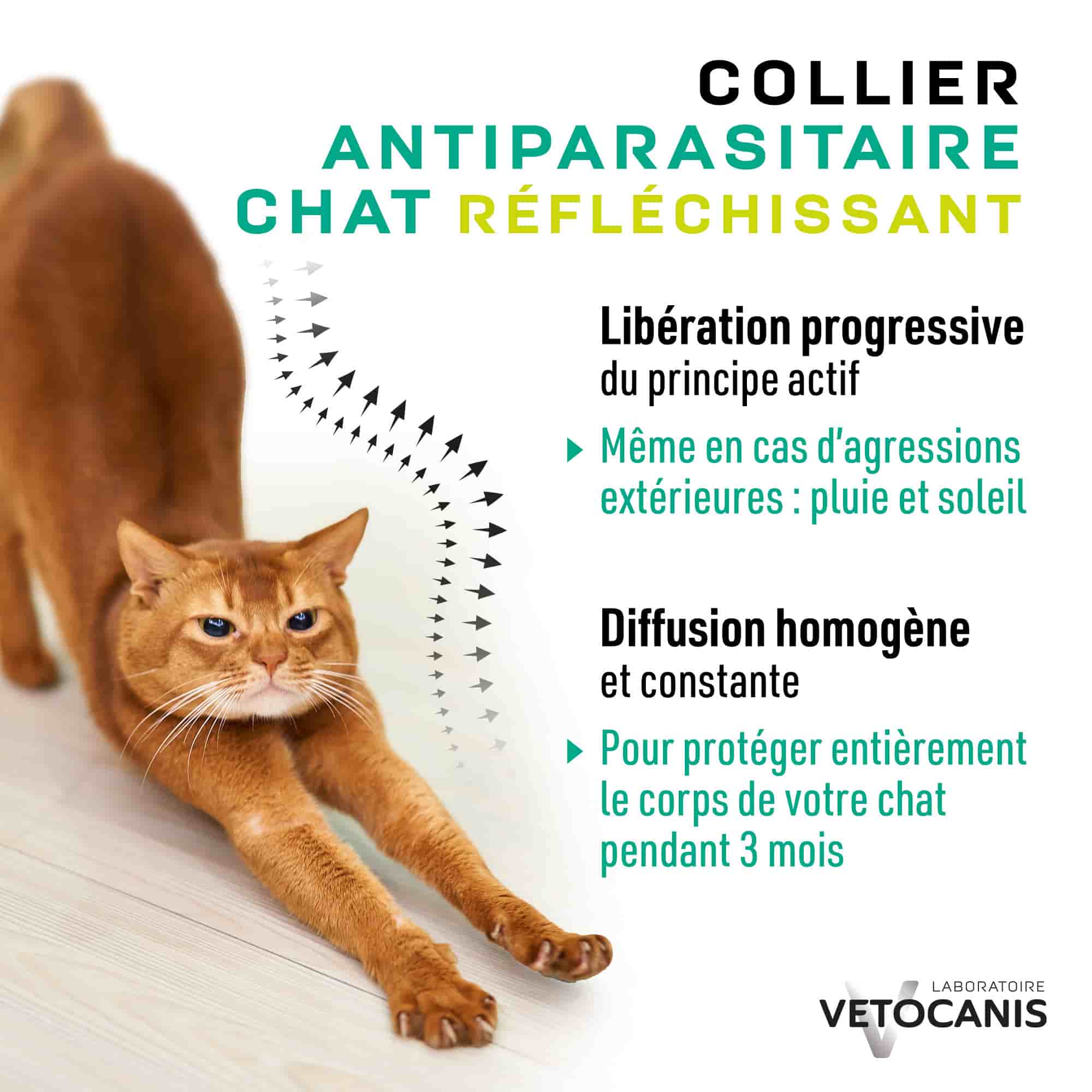 Collier libération progressive et diffusion homogène