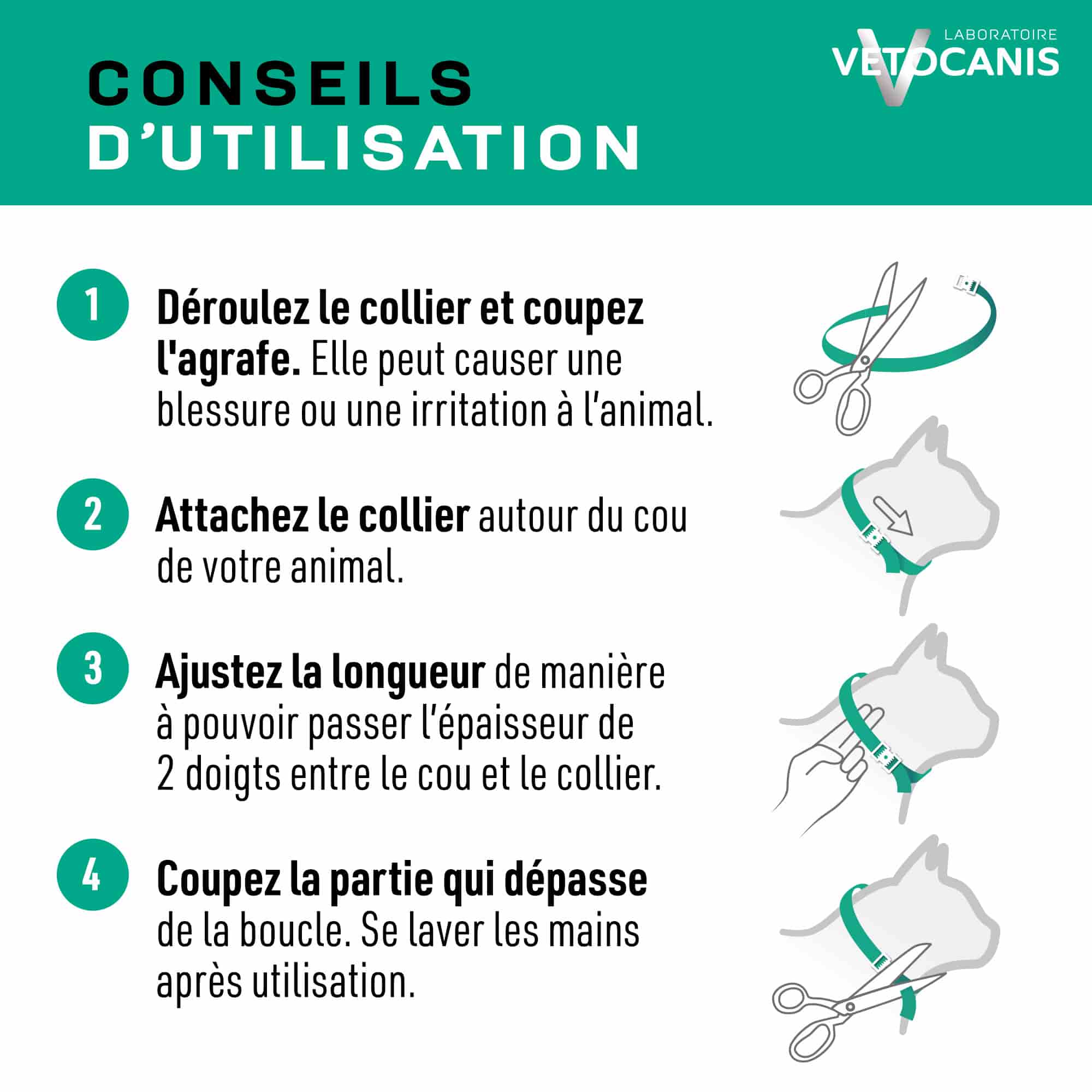 Conseils d'utilisation pour collier anti parasitaire chat et chaton