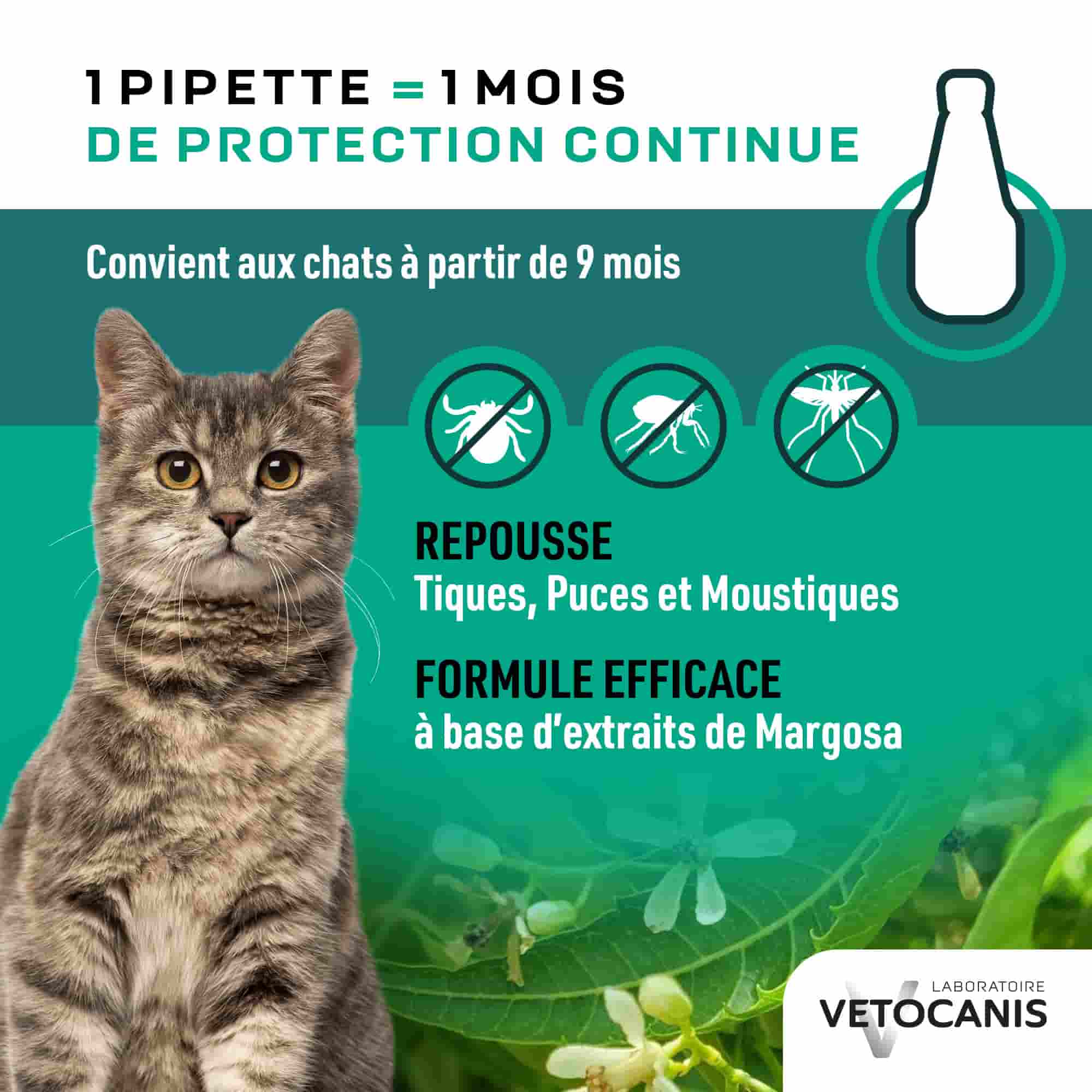 Pipette 1 mois de protection continue contre les tiques, puces et moustiques pour chat à partir de 9 mois