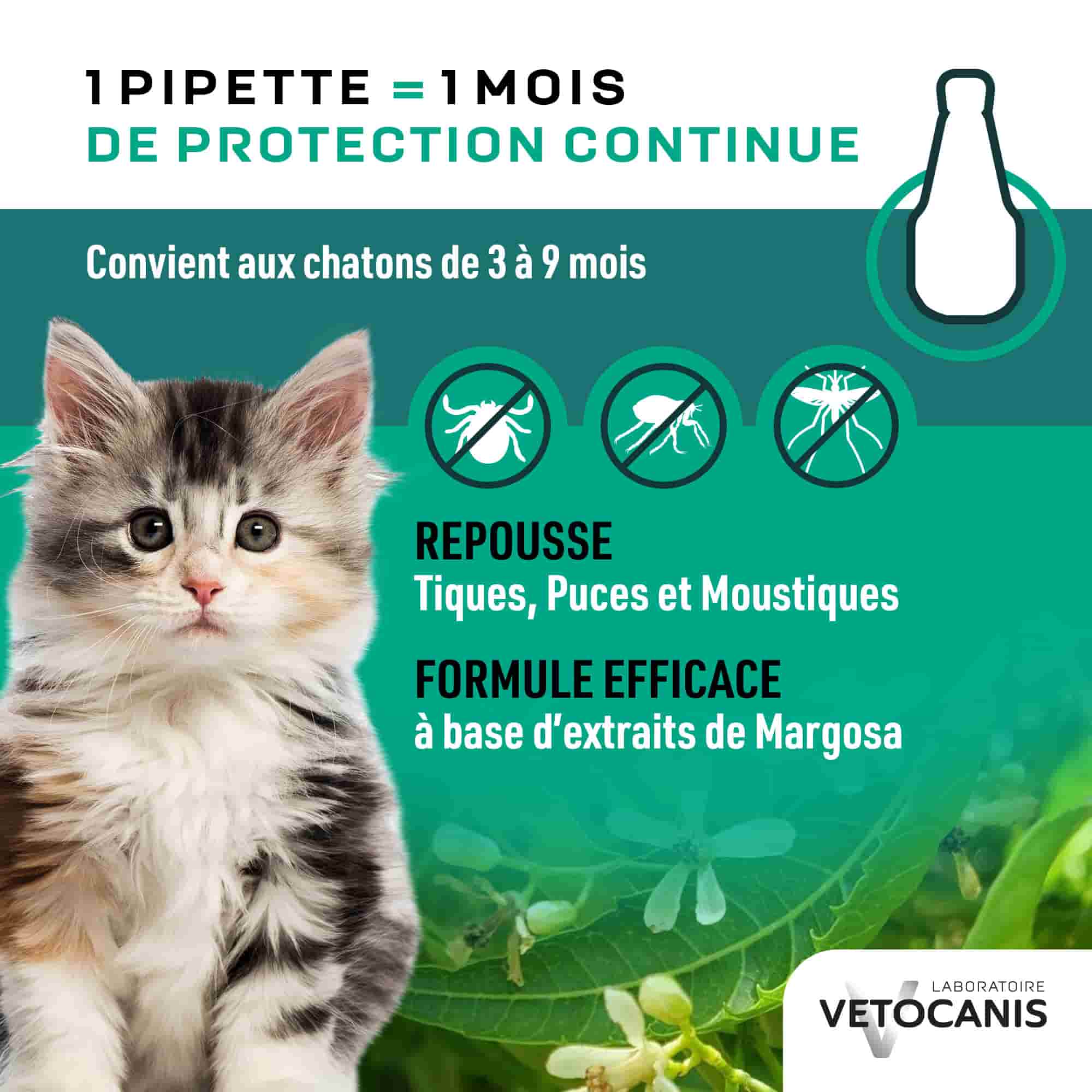 Pipette 1 mois de protection continue contre les tiques, puces et moustiques pour chaton