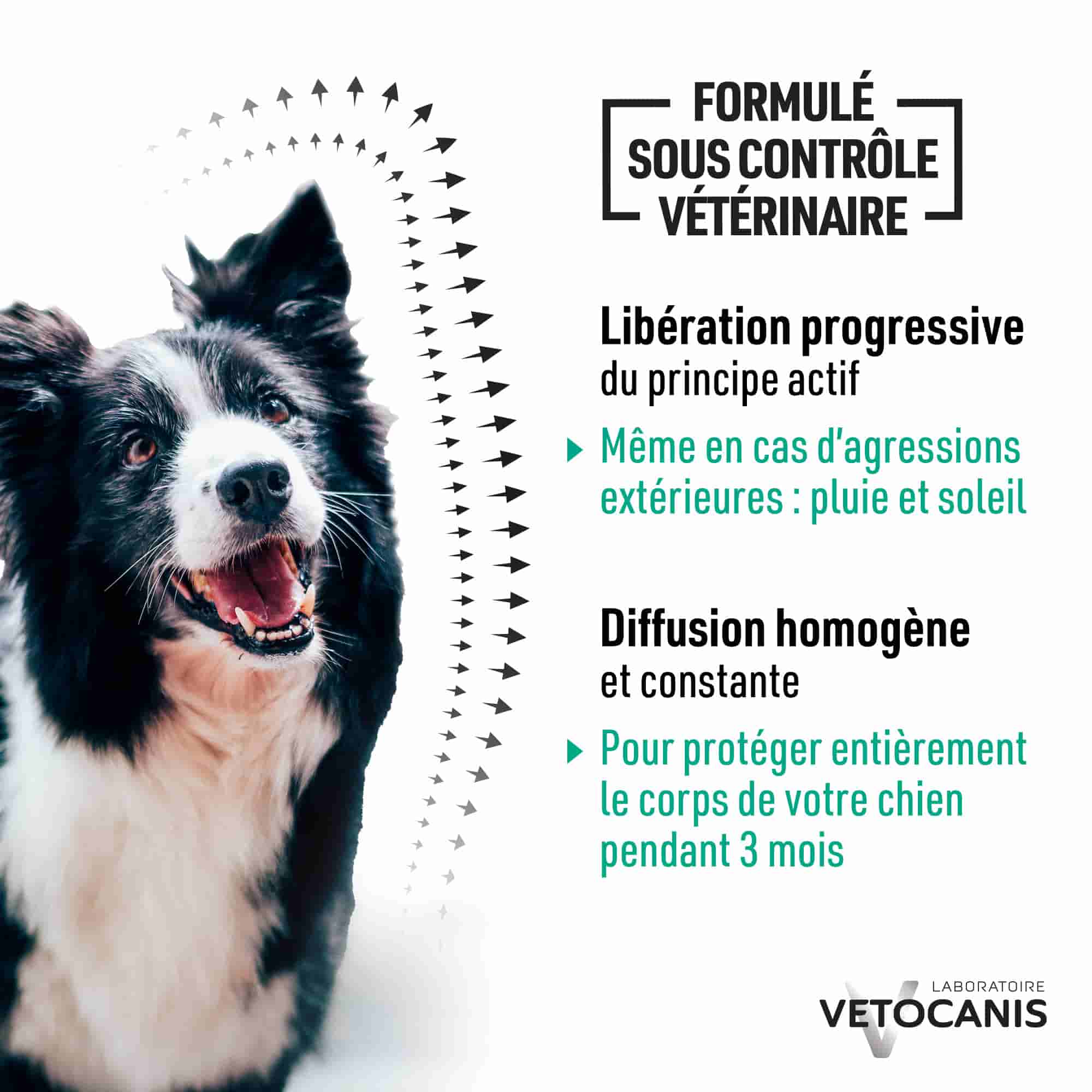 Produit formulé sous contrôle vétérinaire avec libération progressive et diffusion homogène