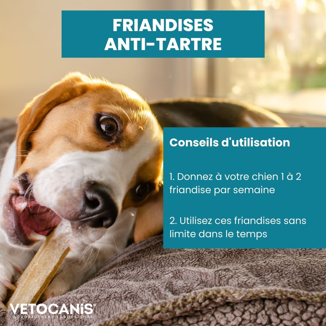 friandises anti tartre chien conseils d'utilisation