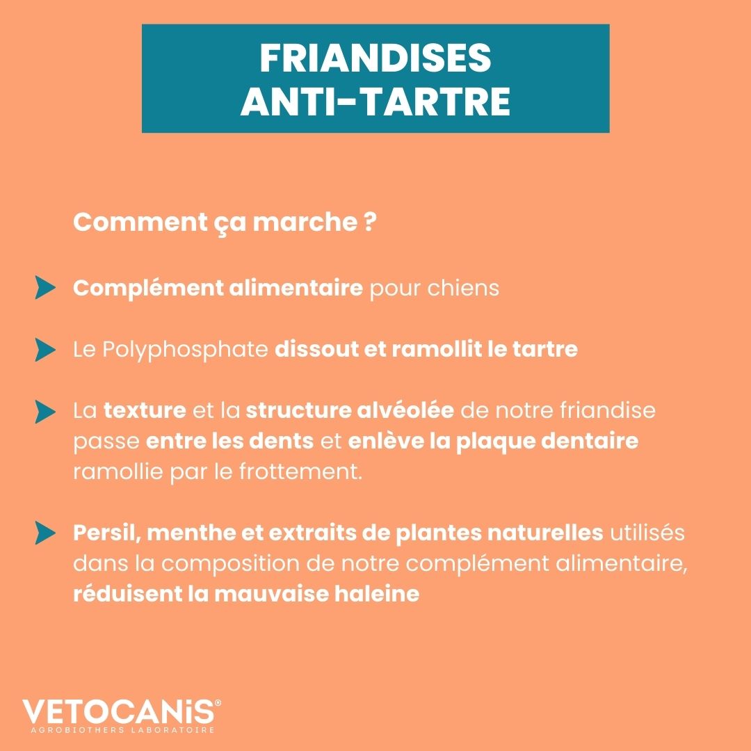 friandise anti tartre chien comment ça marche