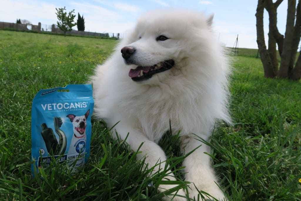 Friandises Anti Tartre pour Chien Vetocanis