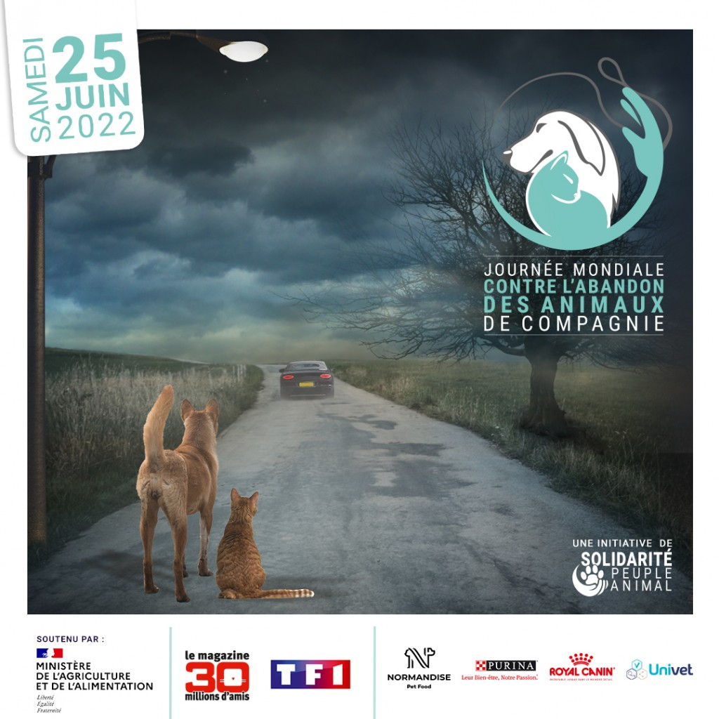 journée mondiale abandon animaux 2022