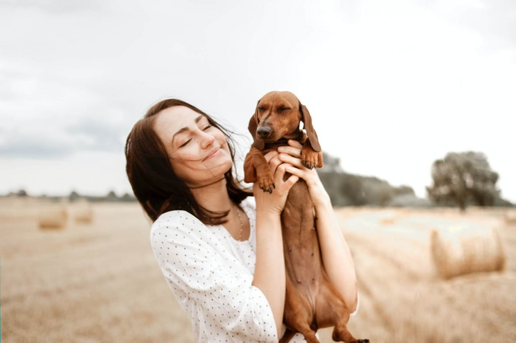 certificat engagement protection chien chat