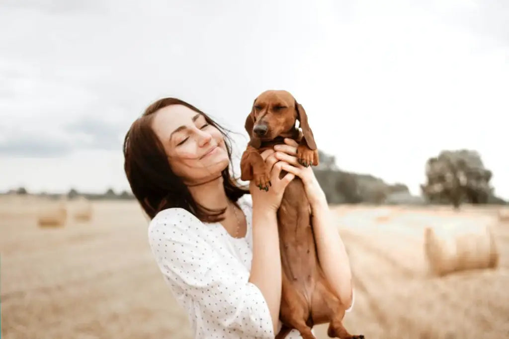 certificat engagement protection chien chat