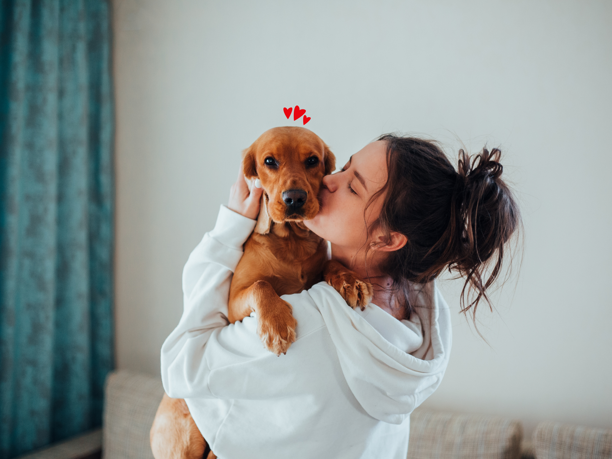 Top 5 idées St Valentin avec son chien