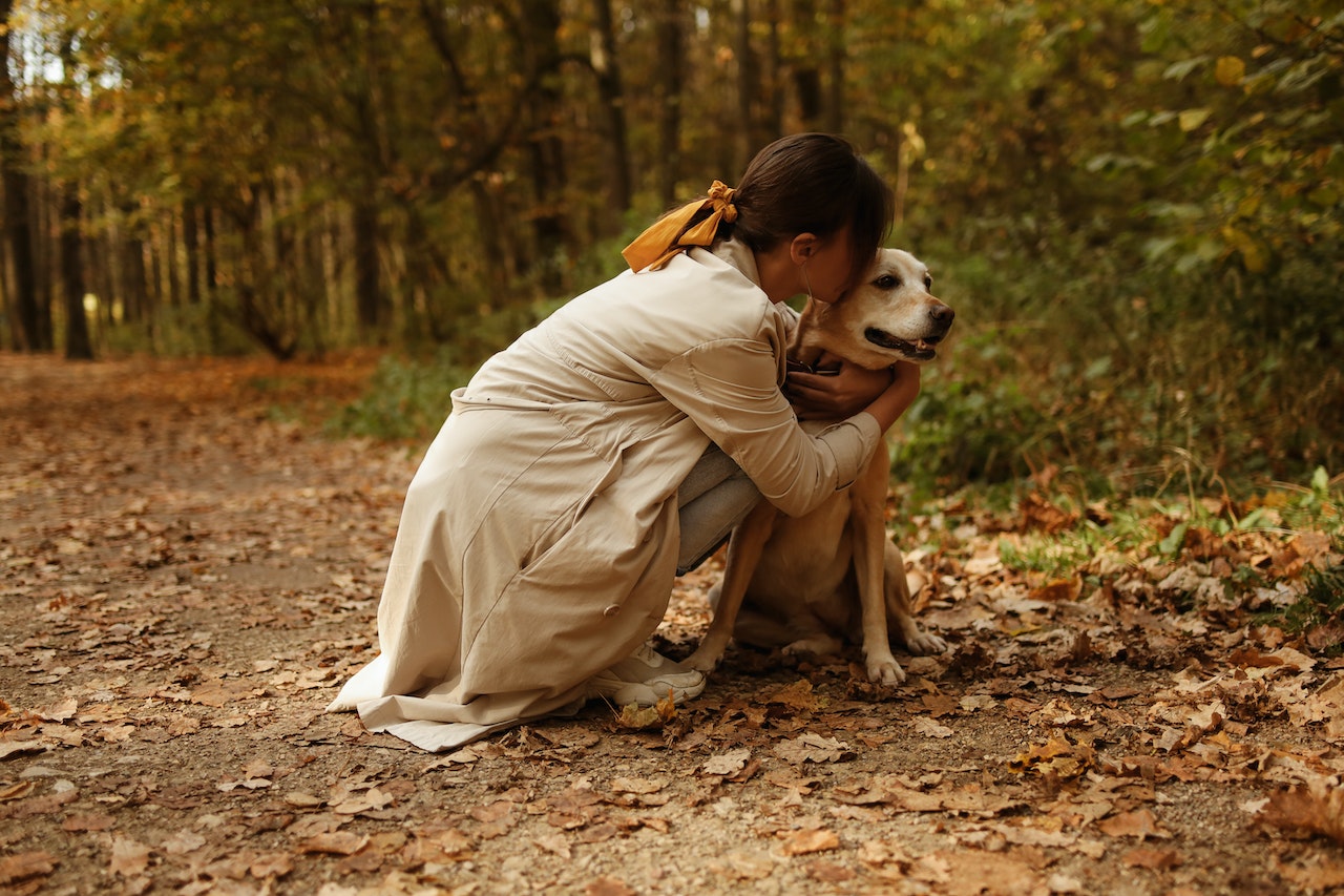 10 conseils pour prendre soin de son chien en automne