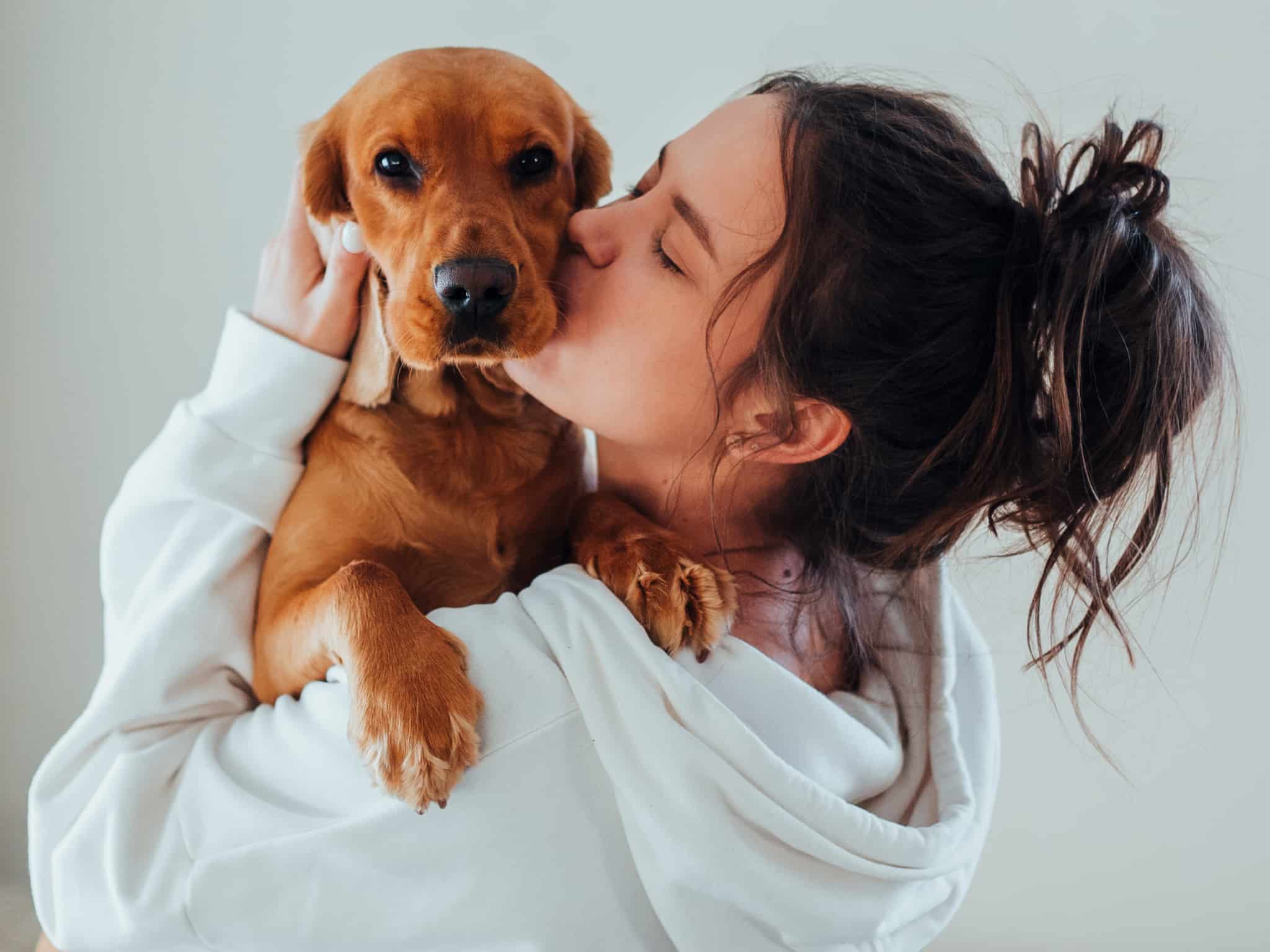 top 6 résolutions avec mon chien