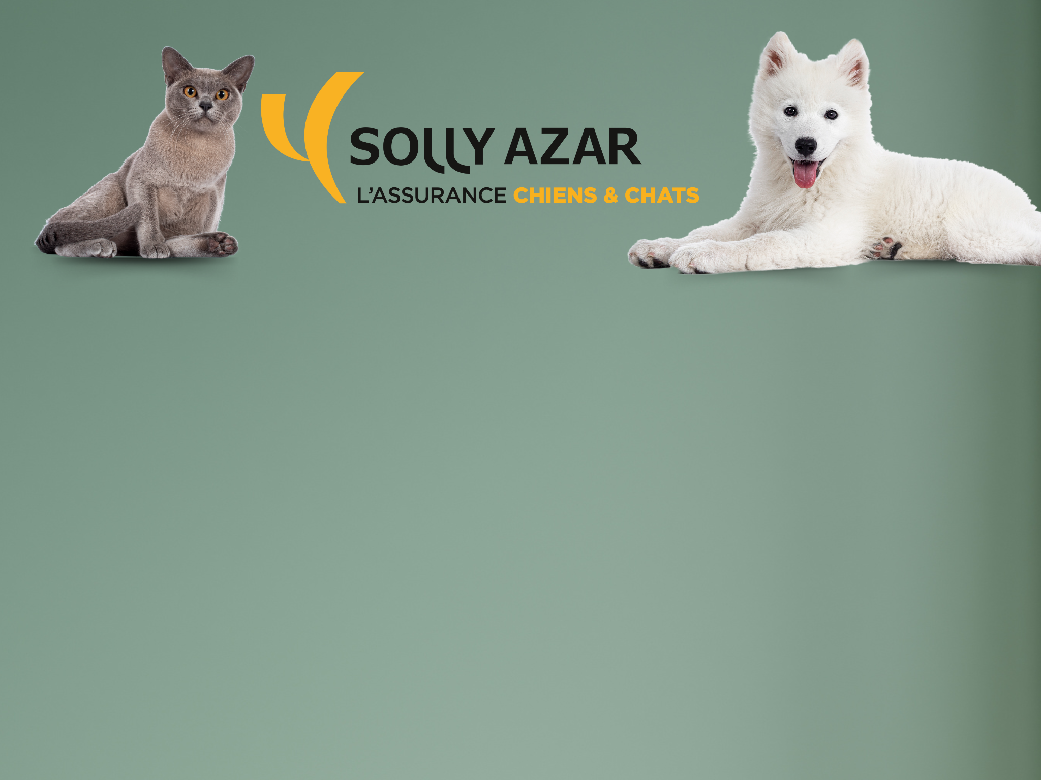 Solly Azar assurance chien chat