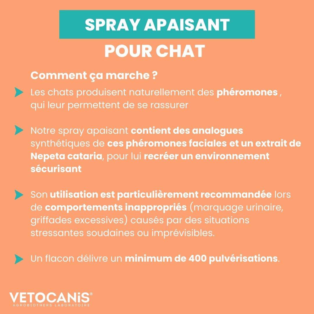 Spray apaisant chat Vetocanis comment ça marche