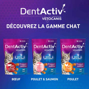 Gamme Dentactiv Chat