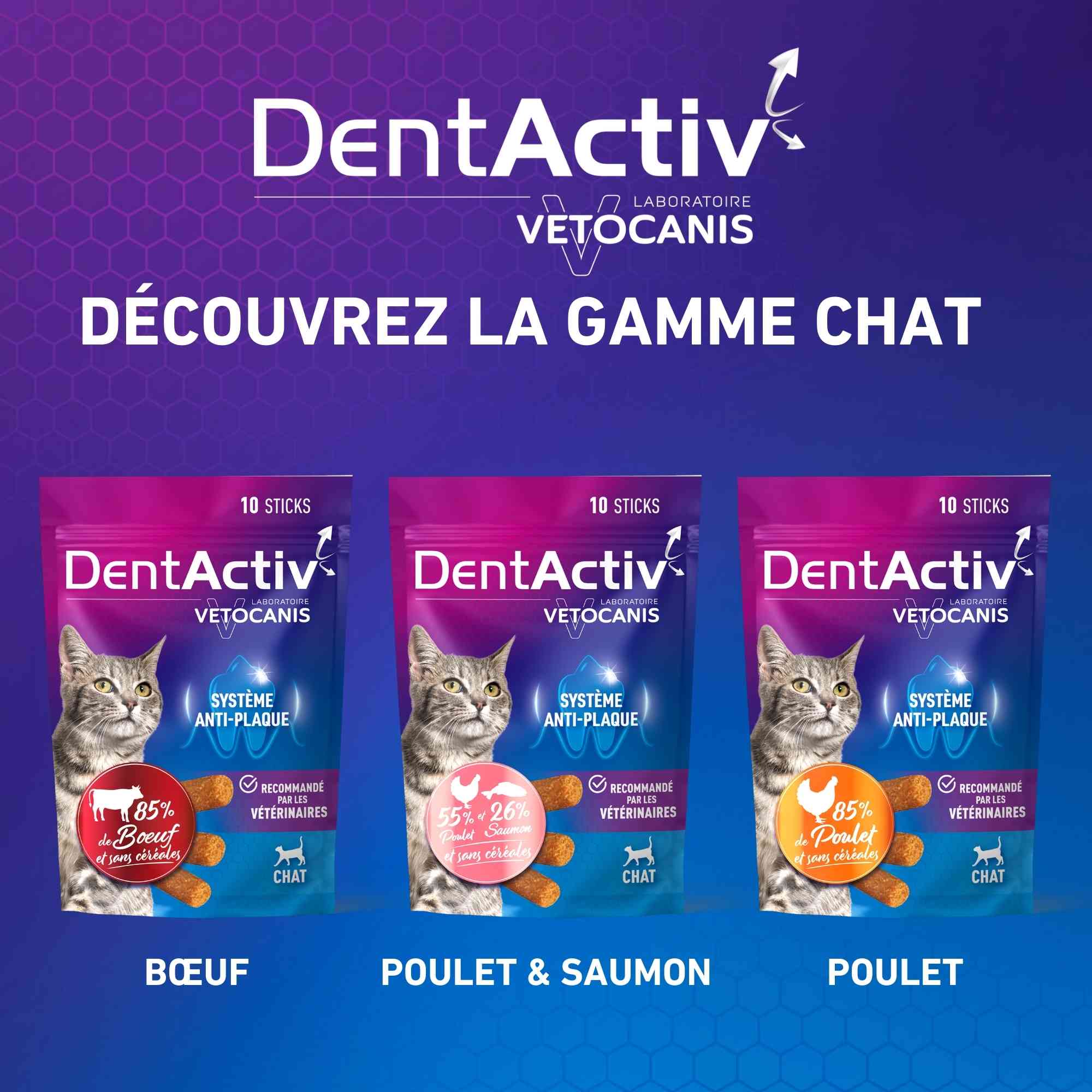Gamme Dentactiv Chat
