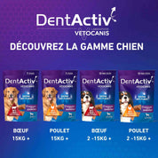 Gamme Dentactiv Chien