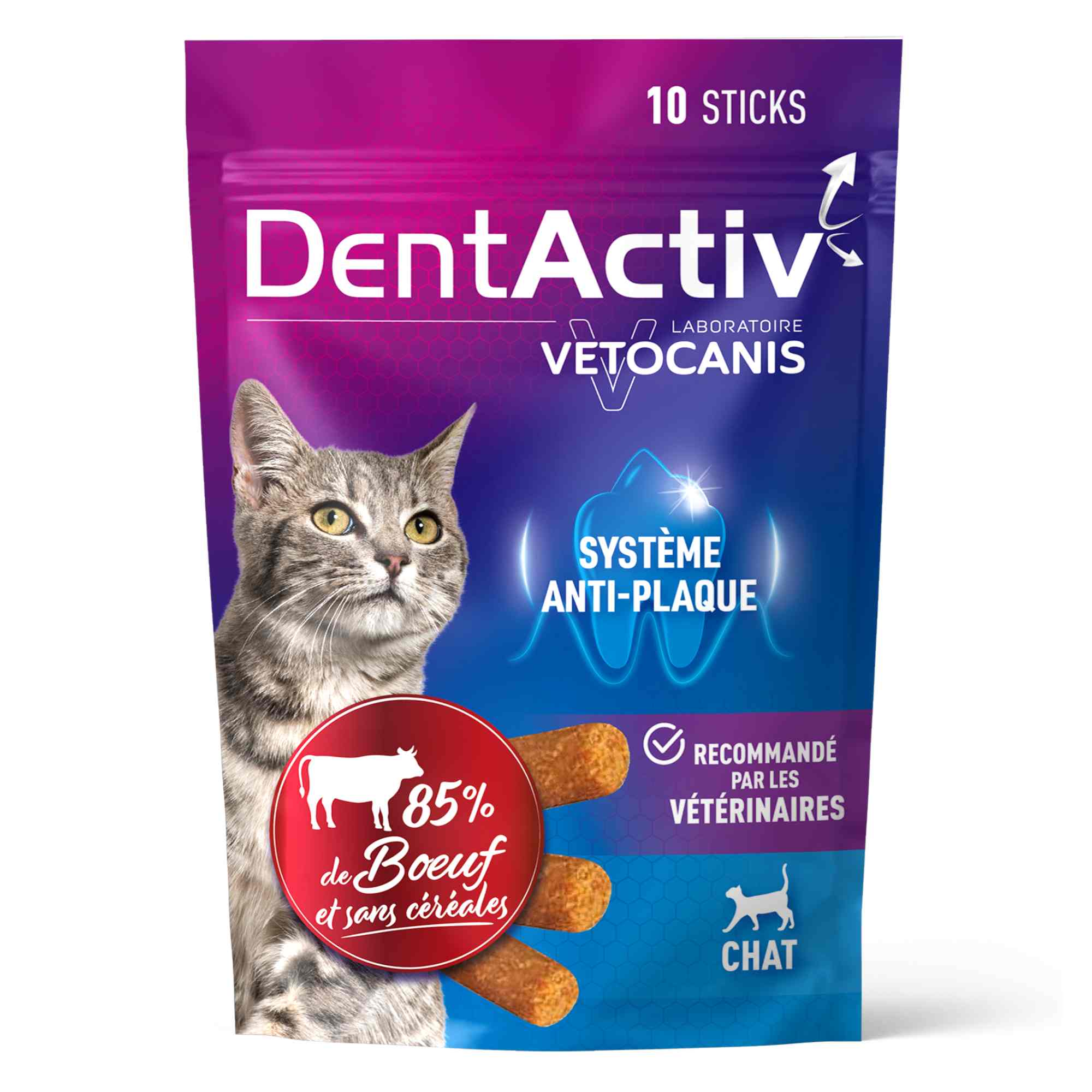 Dentactiv boeuf chat