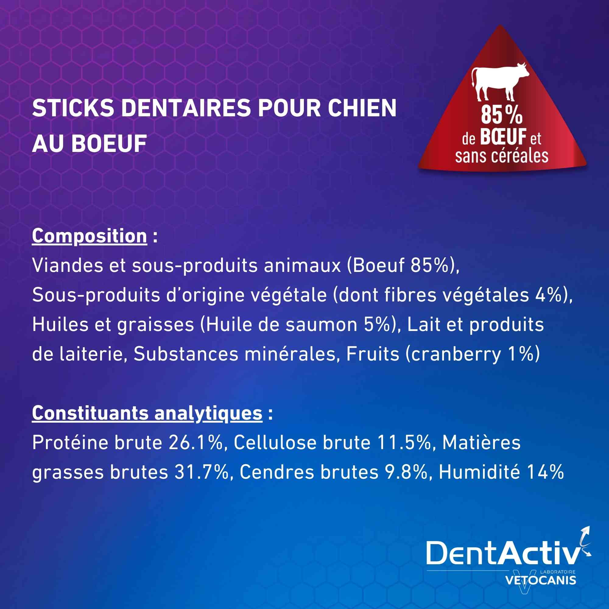 Dentactiv chien boeuf
