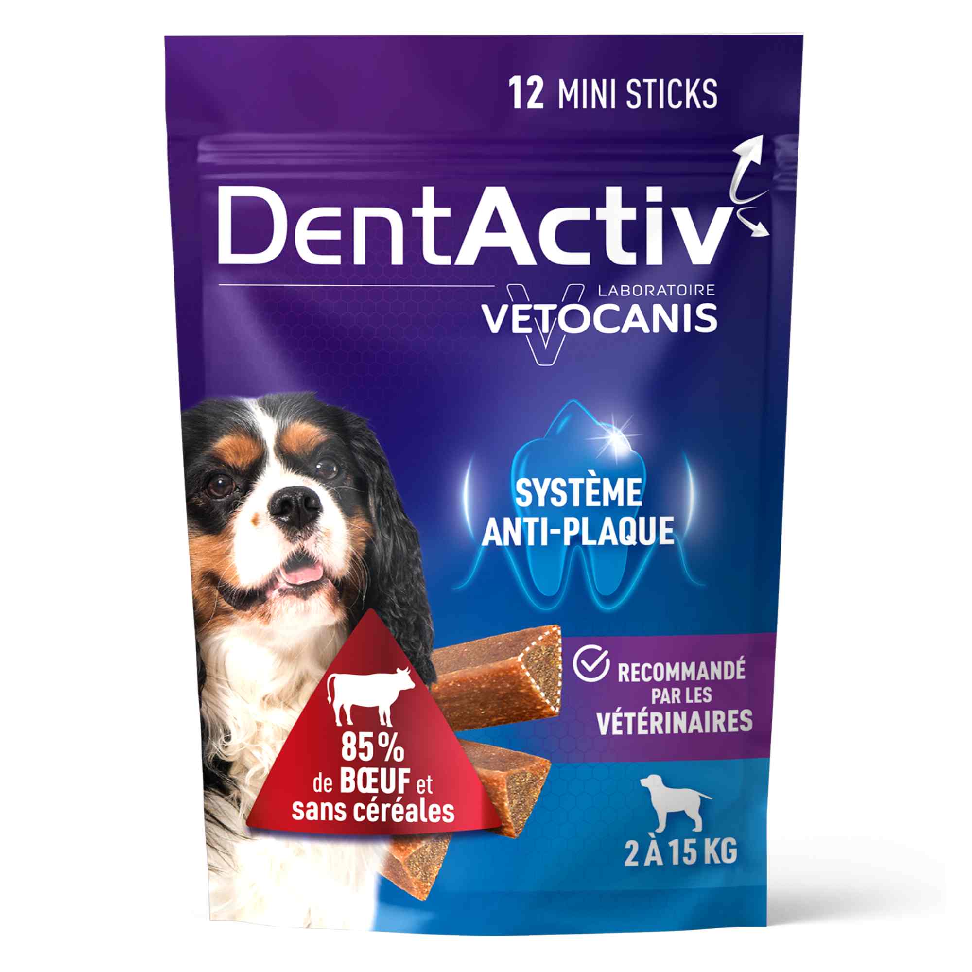 Dentactiv chien boeuf