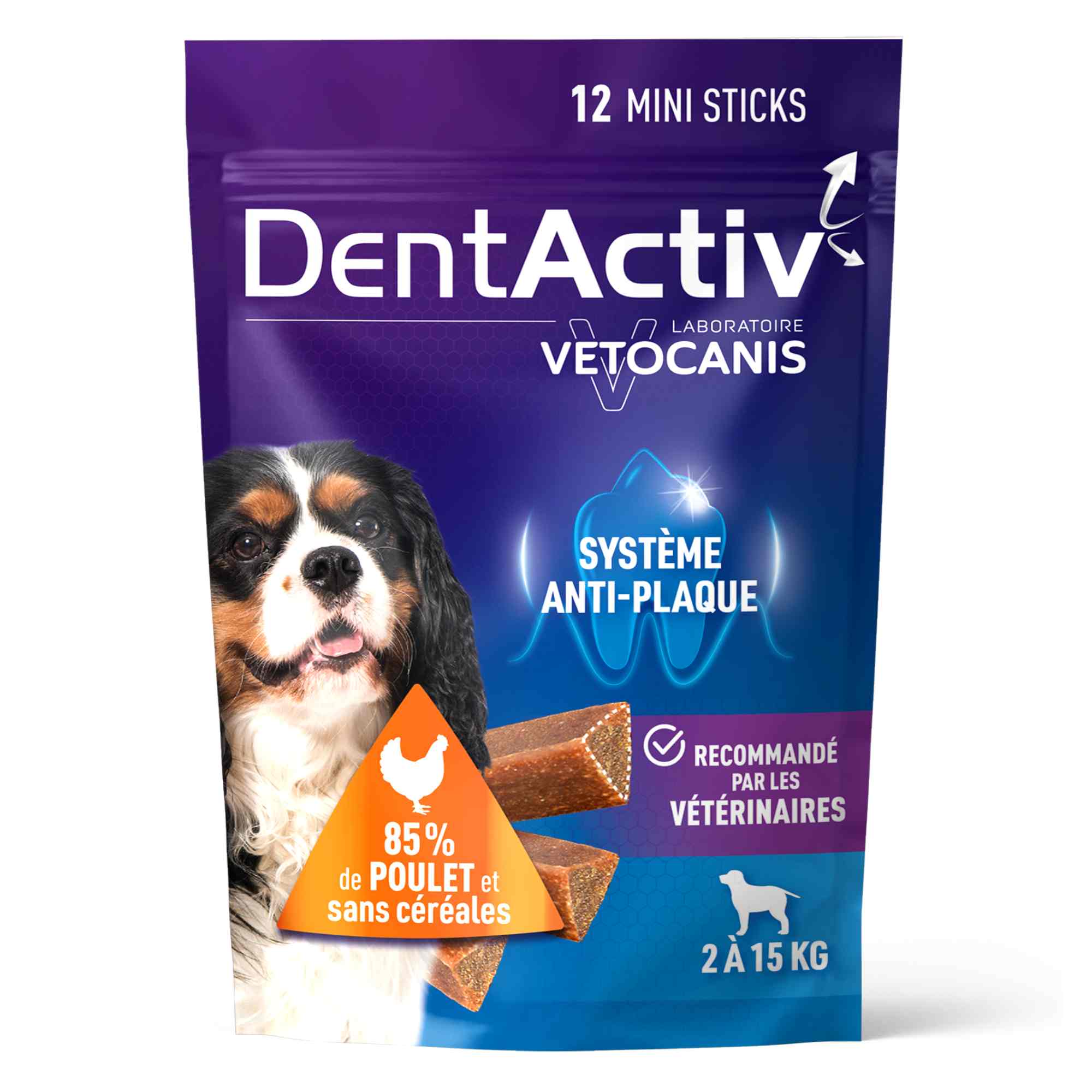 Dentactiv chien poulet