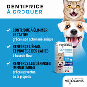 Avantages et bienfaits du dentifrice à croquer