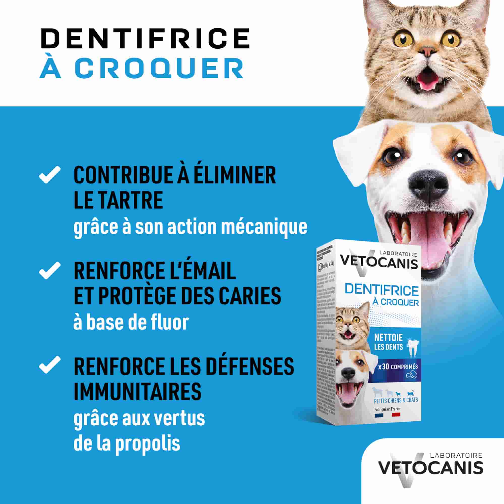 Avantages et bienfaits du dentifrice à croquer