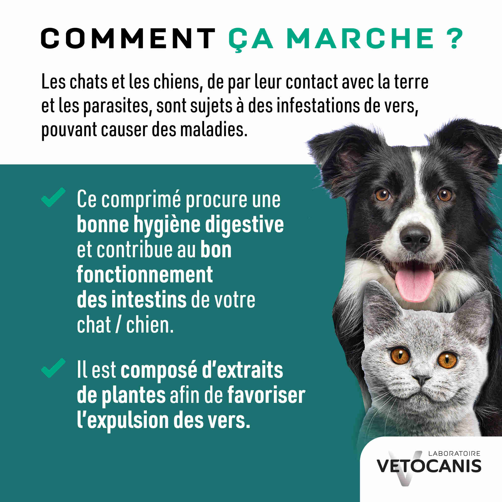 Comment ca marche Verstop ?