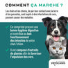 Comment ca marche Verstop ?