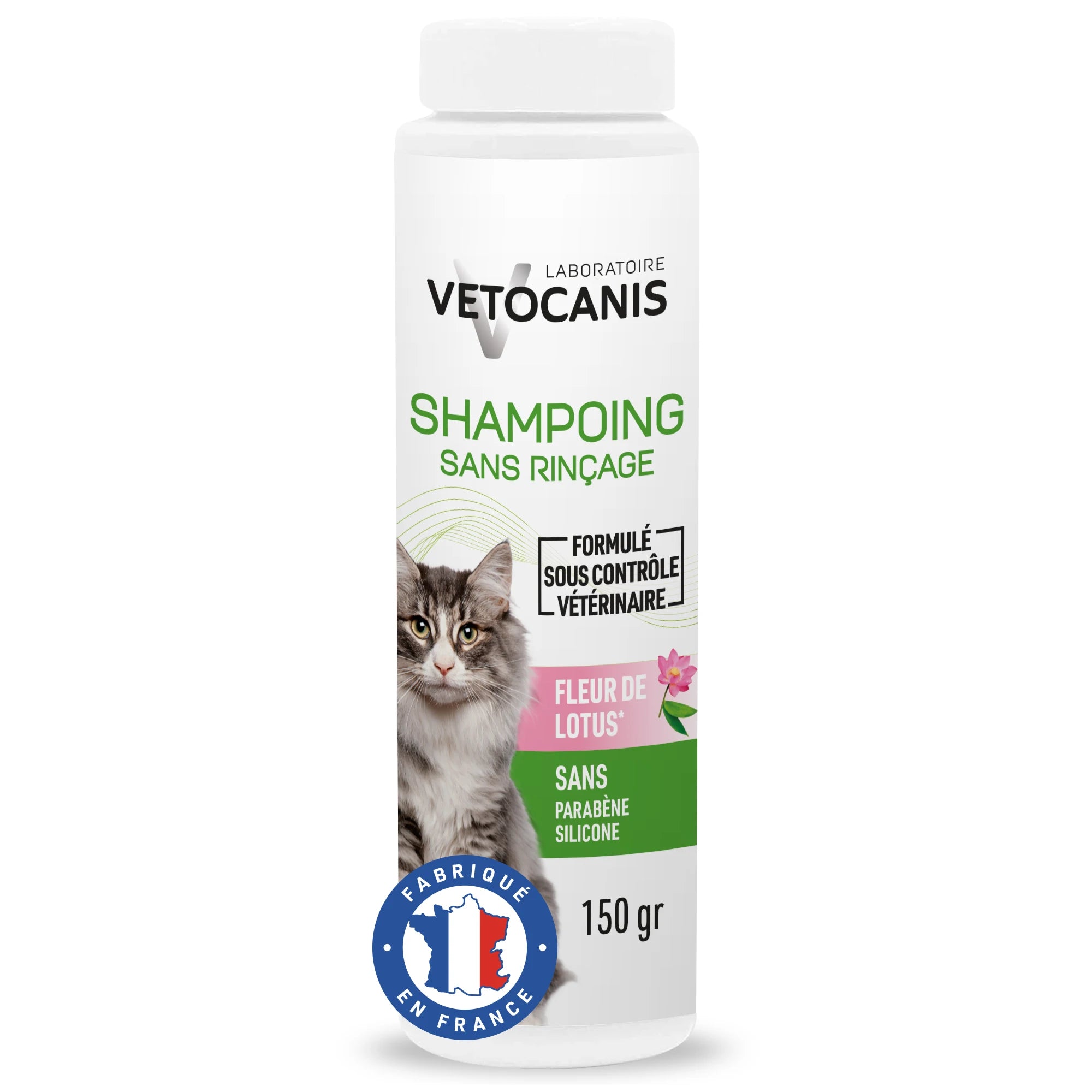 shampoing sec pour chat