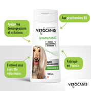 Bienfaits et avantages du shampoing Professionnel Anti-Démangeaisons pour Chien 