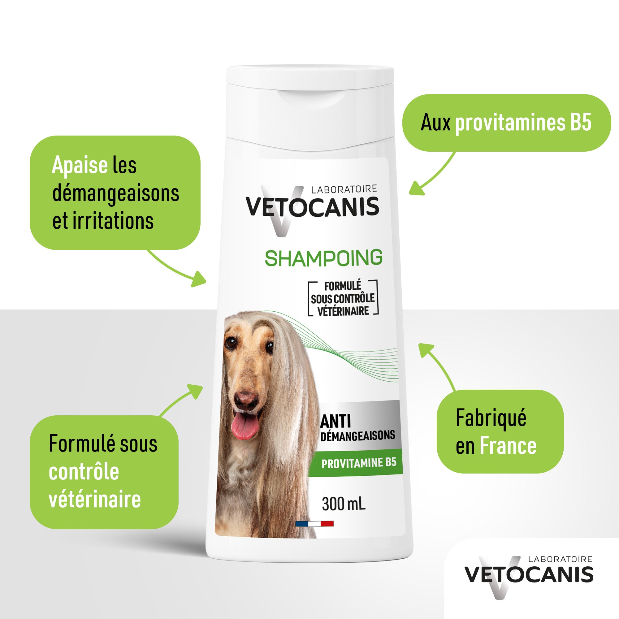 Bienfaits et avantages du shampoing Professionnel Anti-Démangeaisons pour Chien 