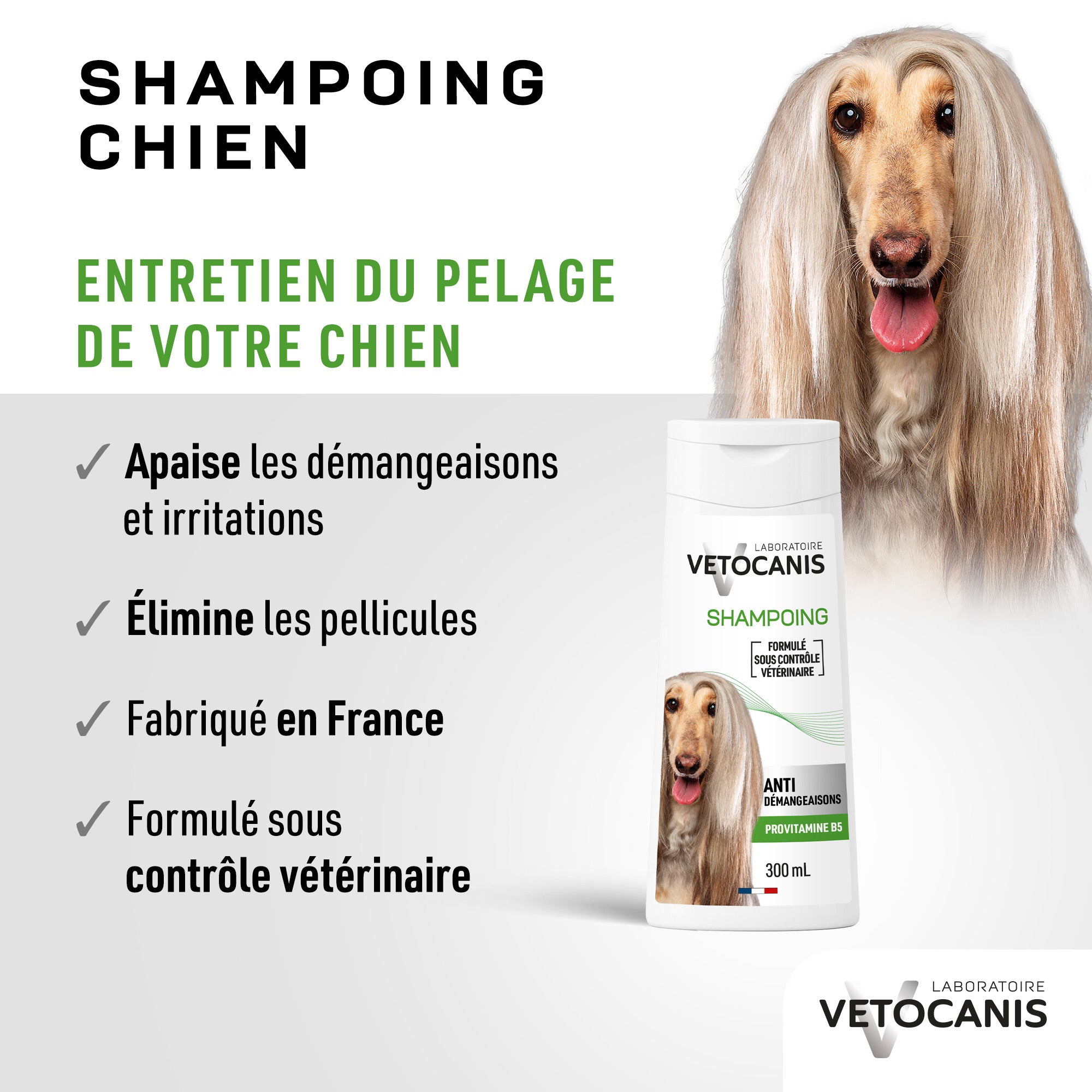 Shampoing Professionnel Anti-Démangeaisons pour Chien. 300ml