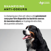Shampoing anti mauvaises odeurs et bactéries pour chien Vetocanis
