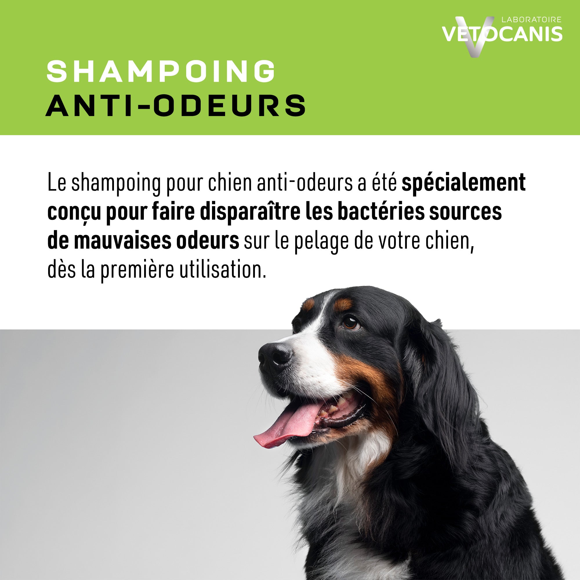 Shampoing anti mauvaises odeurs et bactéries pour chien Vetocanis