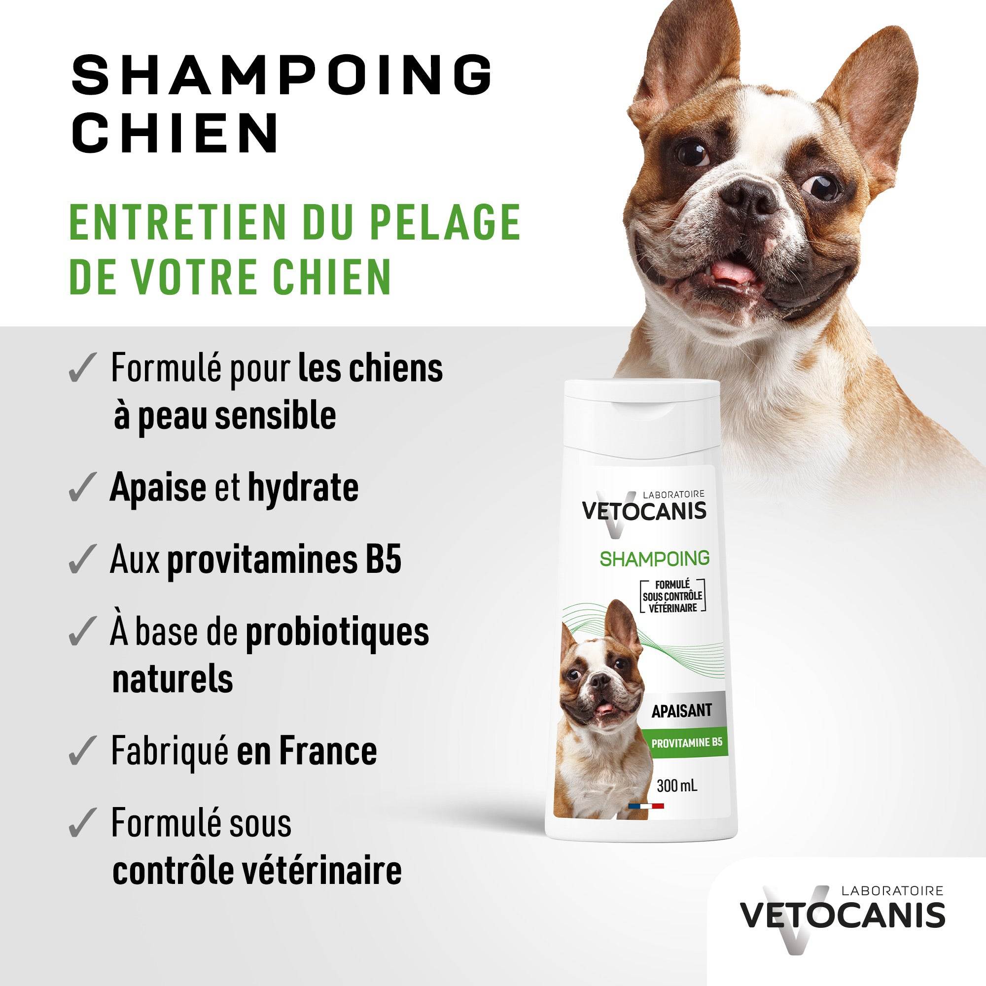 Entretien du pelage du chien avec le shampoing apaisant Vetocanis