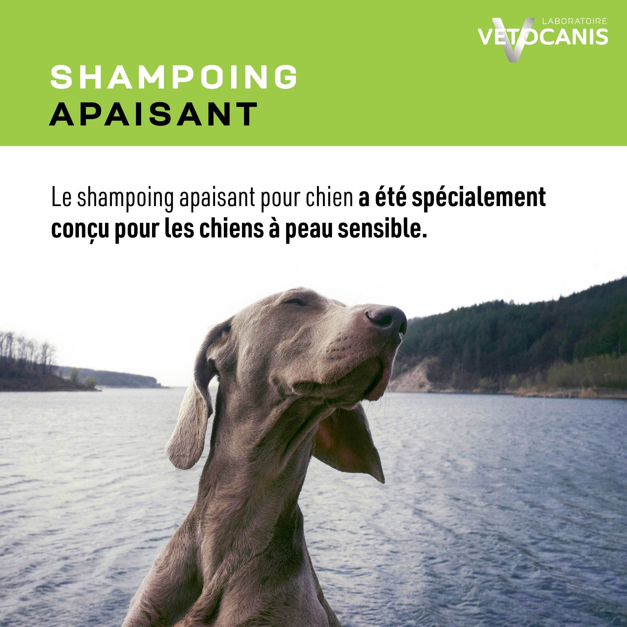 Shampoing Vetocanisapaisant conçu pour les chiens à peau sensible 