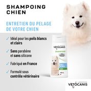 Entretien du pelage du chien avec le Shampoing doux poils blancs pour chien Vetocanis