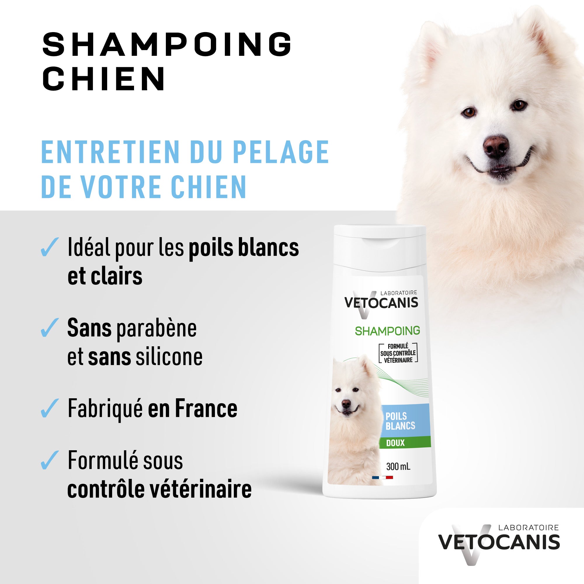 Entretien du pelage du chien avec le Shampoing doux poils blancs pour chien Vetocanis