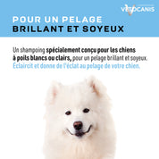 Shampoing pour un pelage brillant et soyeux conçu pour les chiens à poils blancs ou clairs