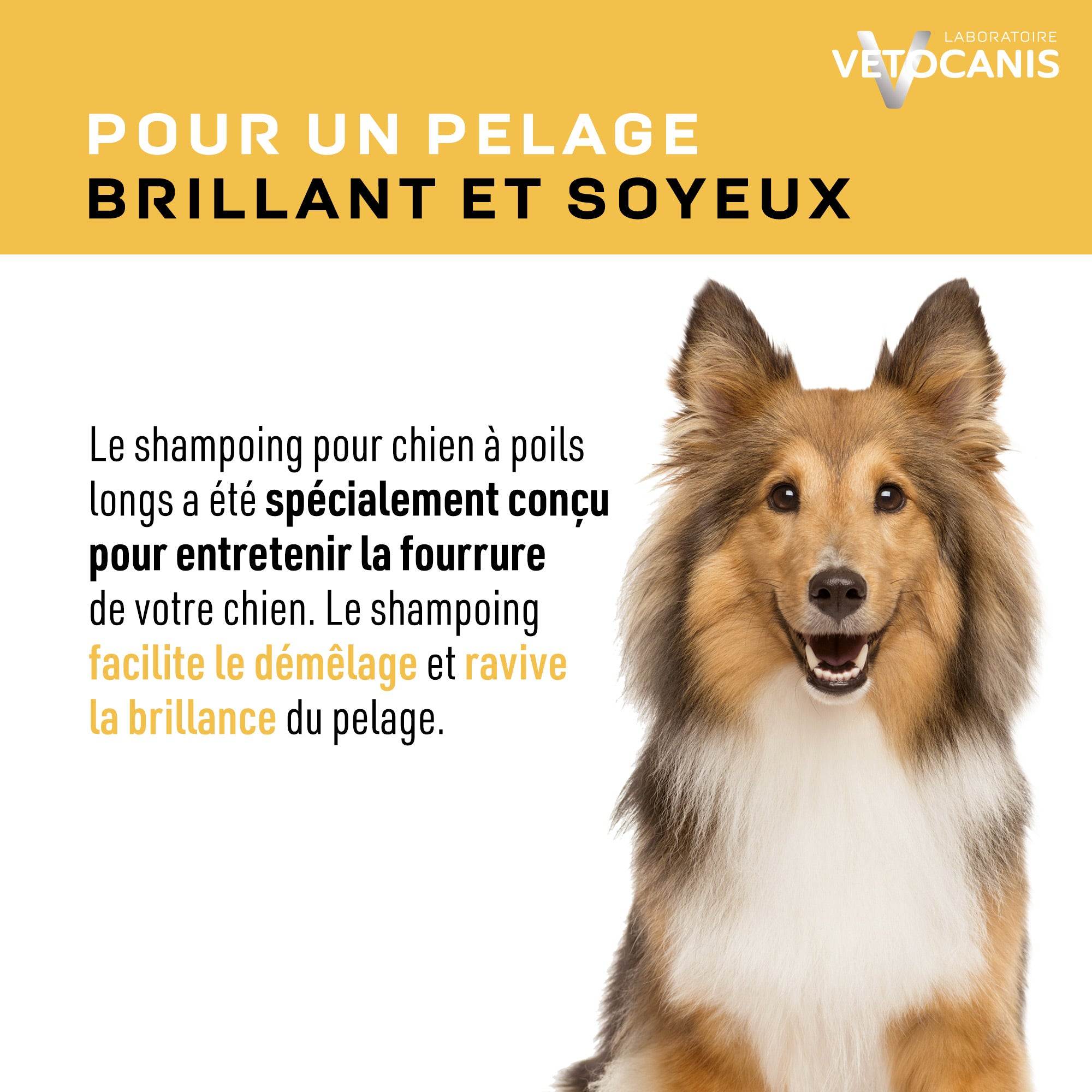Shampoing pour un pelage brillant et soyeux