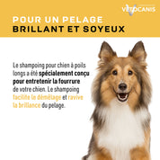 Shampoing pour un pelage brillant et soyeux