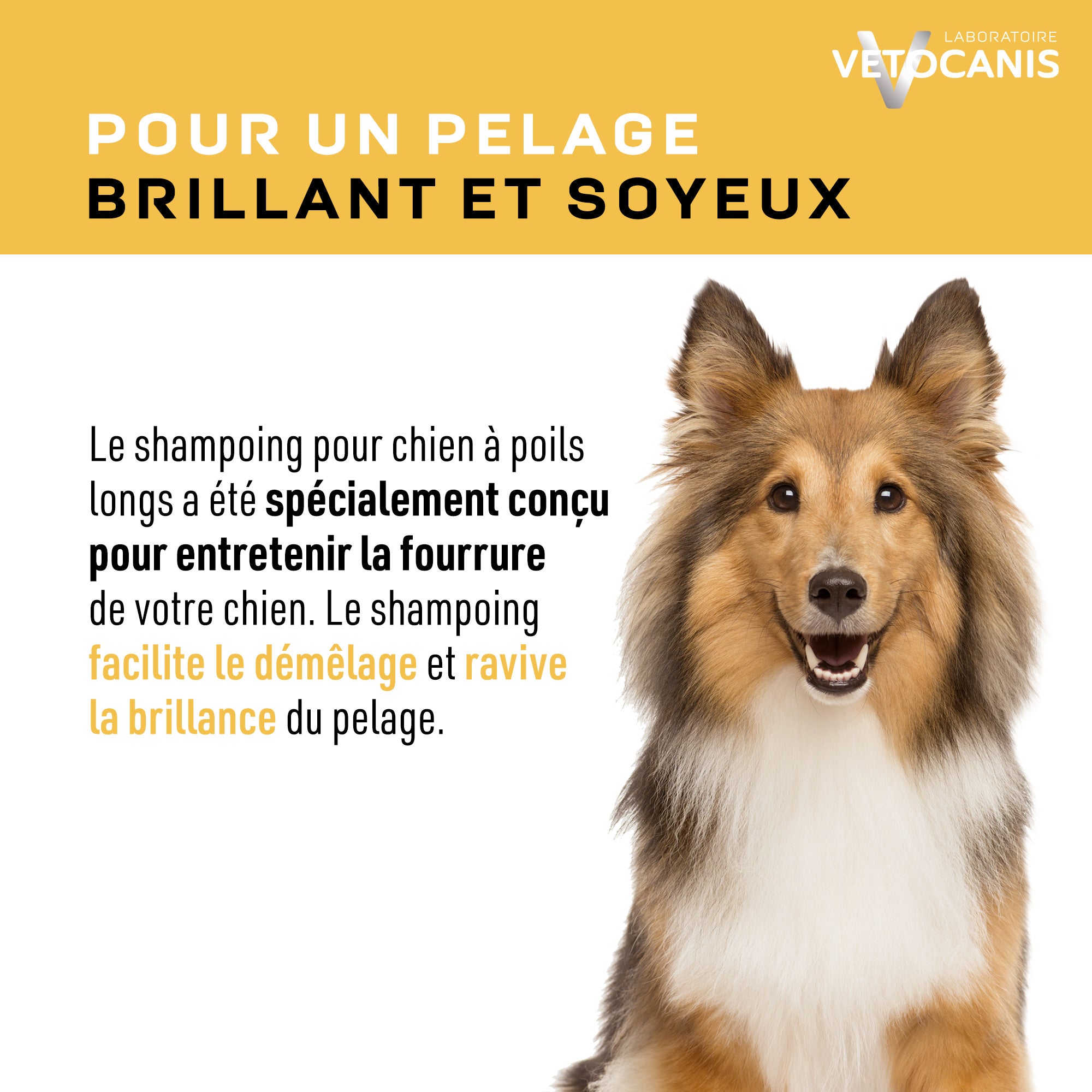 Shampoing pour un pelage brillant et soyeux