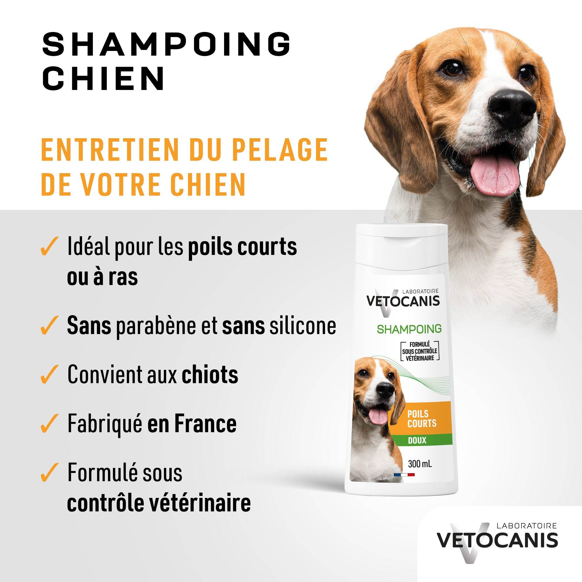 Entretien du pelage du chien avec le shampoing doux pour chien aux poils courts Vetocanis