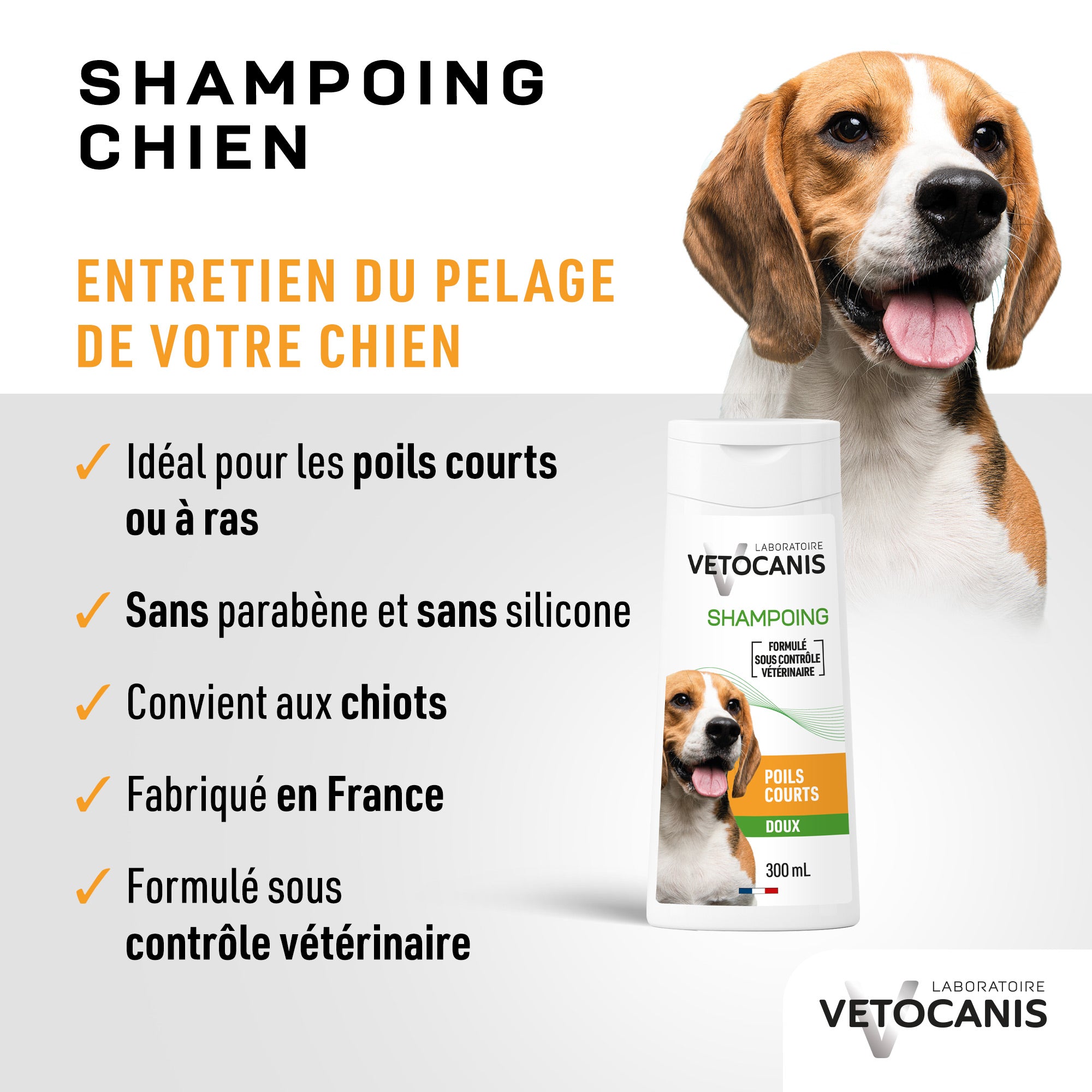 Entretien du pelage du chien avec le shampoing doux pour chien aux poils courts Vetocanis