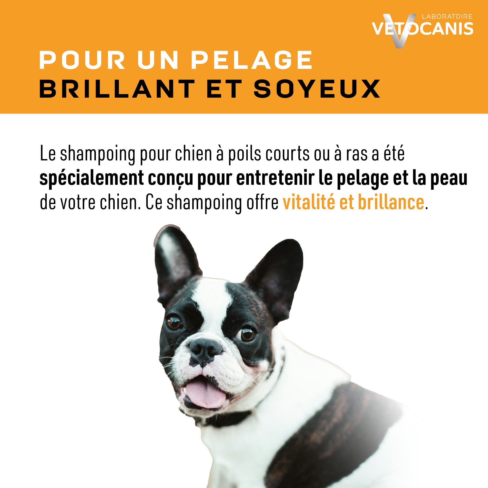 Shampoing pour un pelage brillant et soyeux